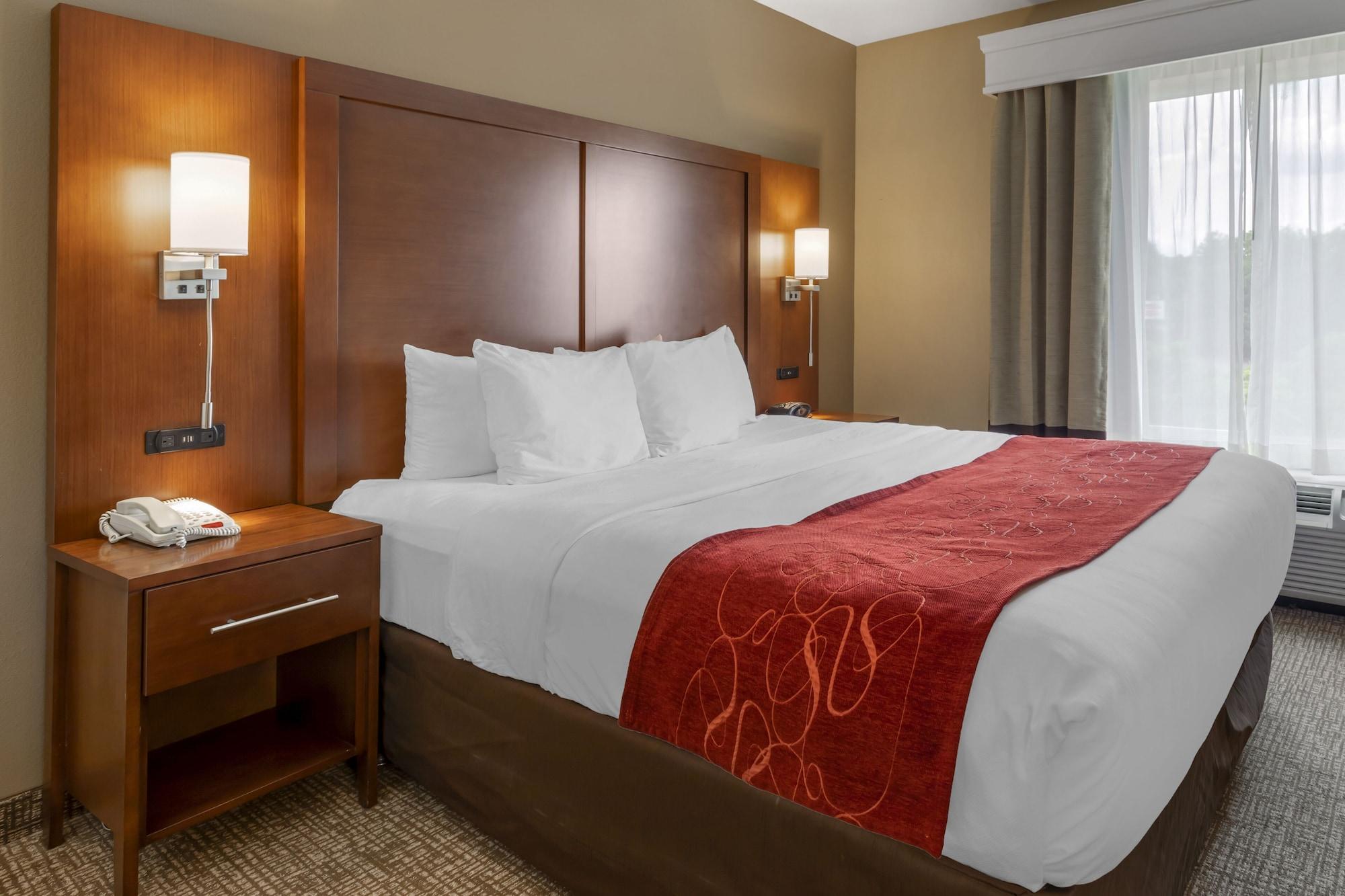 Comfort Suites North Knoxville Exterior foto